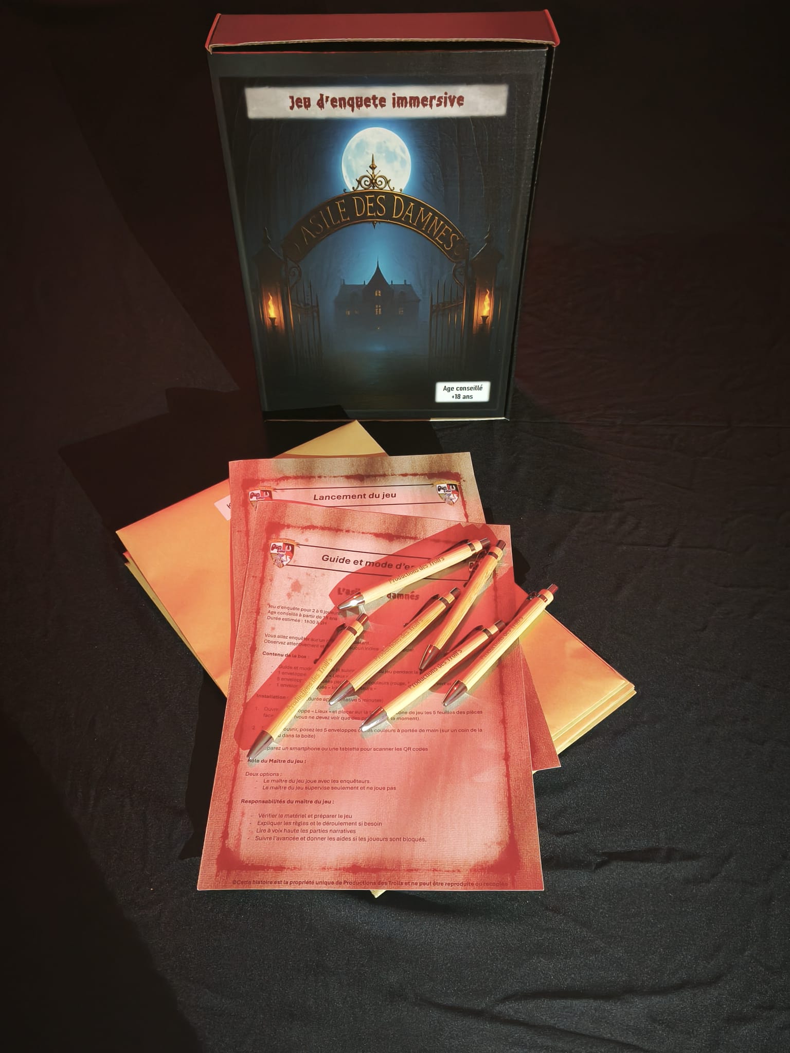 L’Asile des Damnés – Image 2